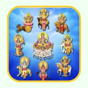 Navagraha Homa